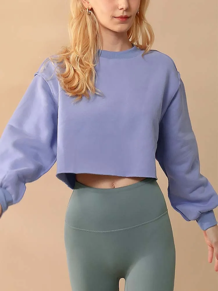 Autumn Winter Women Casual Solid Color Round Neck Long Sleeve Crop Blank Sweatshirt - Image 3