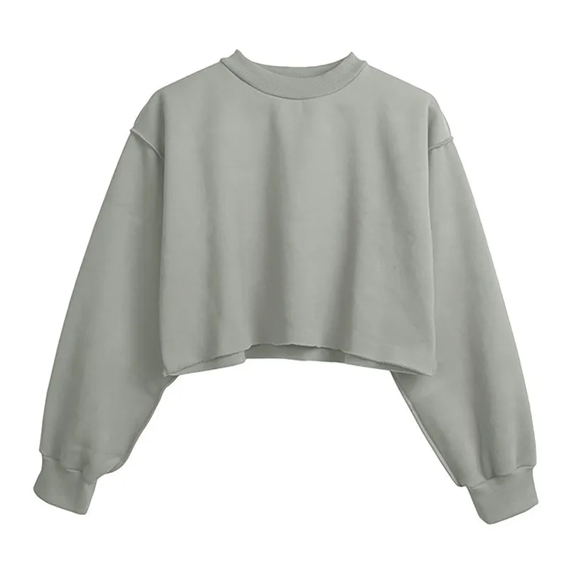 Autumn Winter Women Casual Solid Color Round Neck Long Sleeve Crop Blank Sweatshirt - Image 6