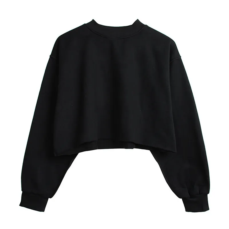 Autumn Winter Women Casual Solid Color Round Neck Long Sleeve Crop Blank Sweatshirt - Image 11