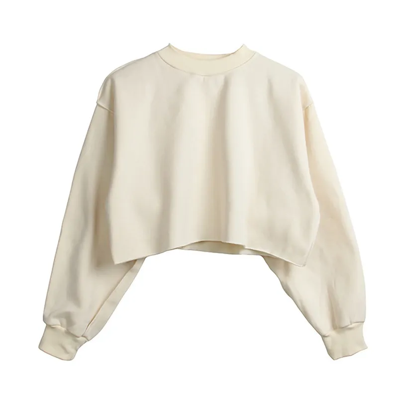 Autumn Winter Women Casual Solid Color Round Neck Long Sleeve Crop Blank Sweatshirt - Image 12